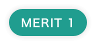 MERIT 1