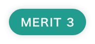 MERIT 3
